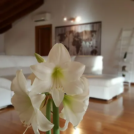 Donizetti Royal 3* Bergamo